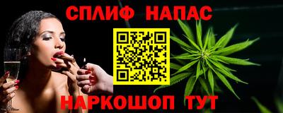 гидра Заводоуковск