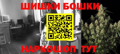 МДПВ Новозыбков