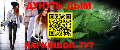 гидра Заводоуковск