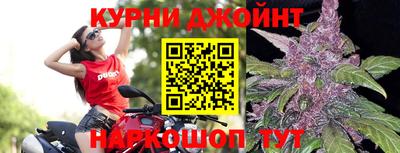 гидра Заводоуковск