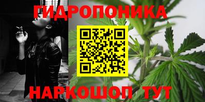 гидра Заводоуковск