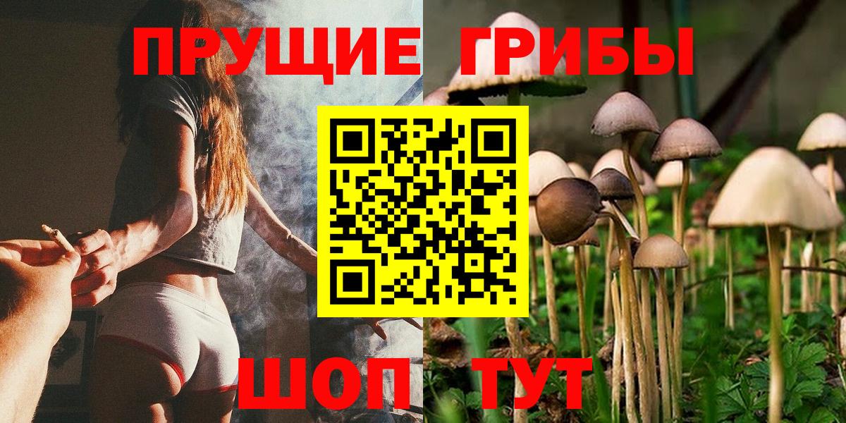 Псилоцибиновые грибы Cubensis Чернушка