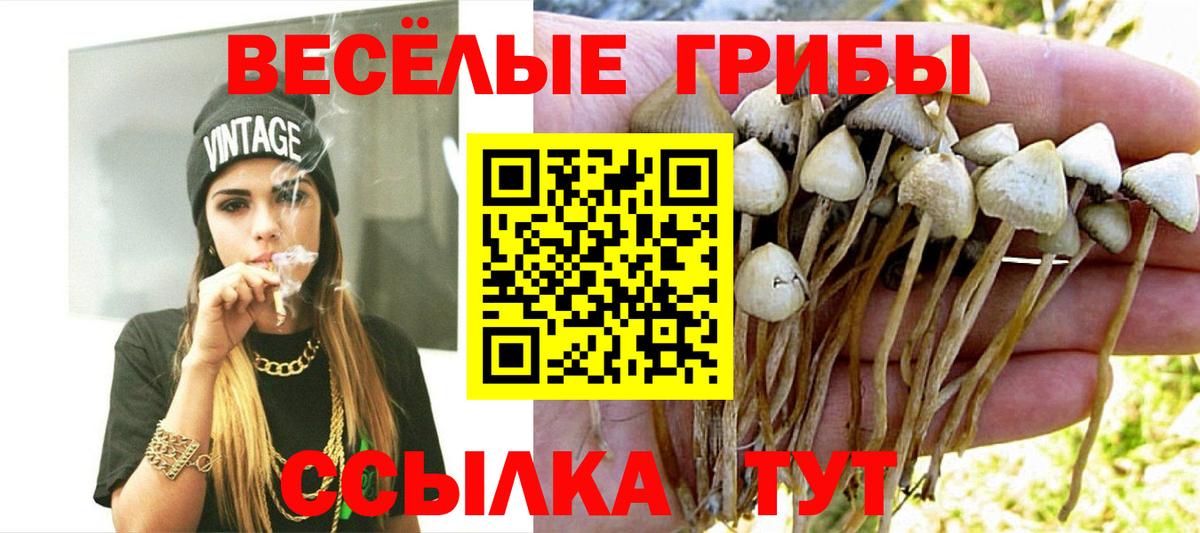 Псилоцибиновые грибы Magic Shrooms  Вход с VPN  Галлюциногенные грибы MAGIC MUSHROOMS  наркошоп  Чернушка 